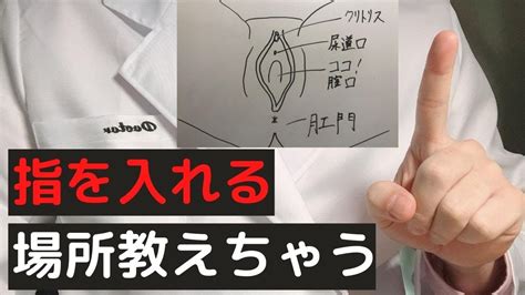 クリトリスの場所はどこ？構造・役割と快感を感じる。